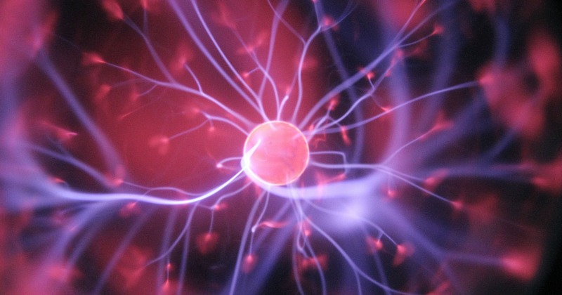 Rewiring Your Brain: An Article from Jennifer Forsberg Meyer