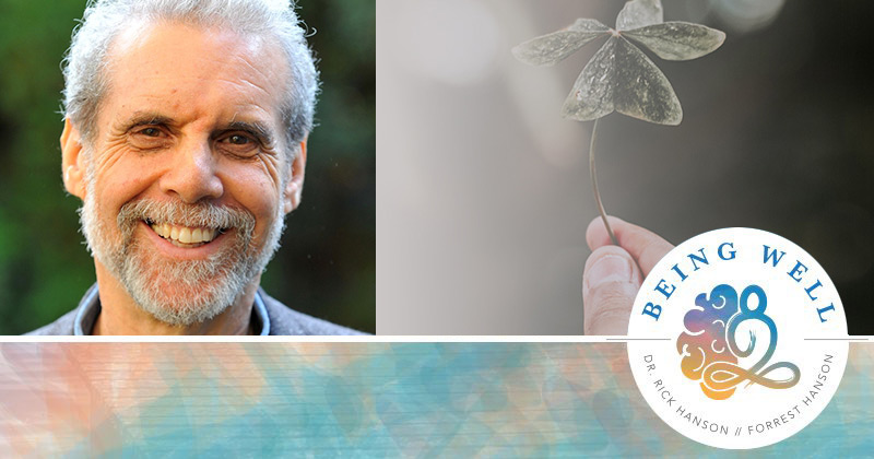 Being Well Podcast: Discovering Your Emotional Intelligence with Daniel Goleman
