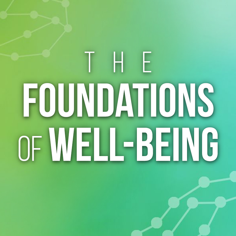 The Foundations of Well-Being