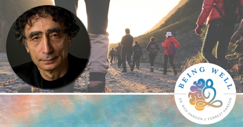 Being Well Podcast: Healing Trauma in a Toxic Culture with Dr. Gabor Maté