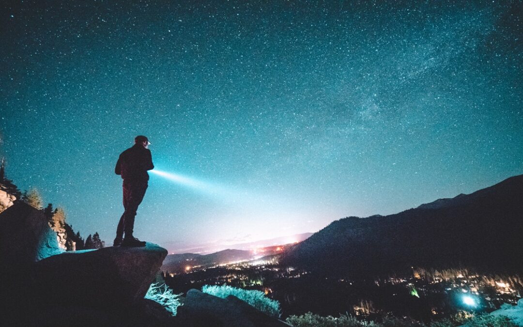 Meditation + Talk: See the Whole, Be the Whole