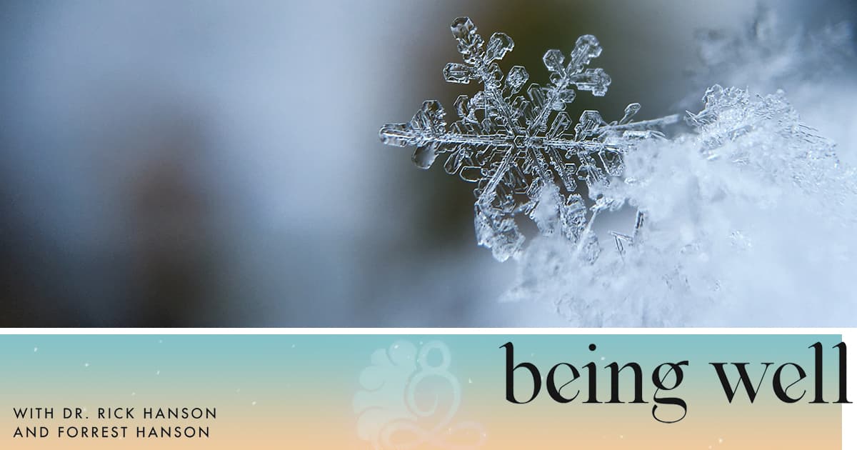 Being Well Podcast: Finding Your Joy: The Holiday Special with Elizabeth Ferreira