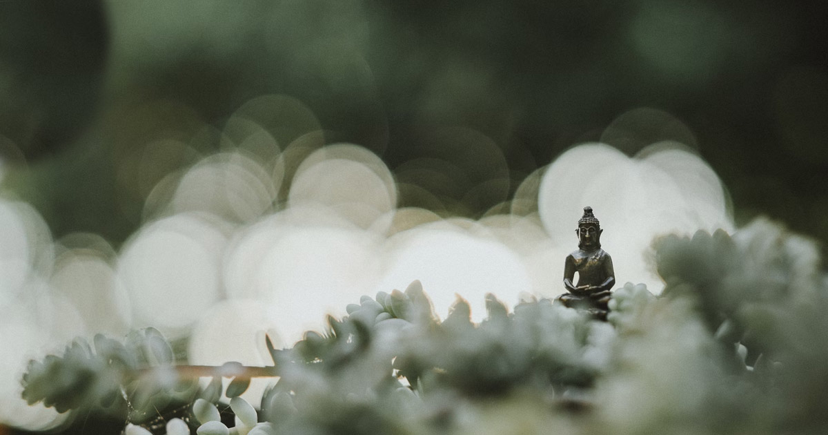 Meditation + Talk: What Are You Doing Here? The Why and the How of Buddhist Practice