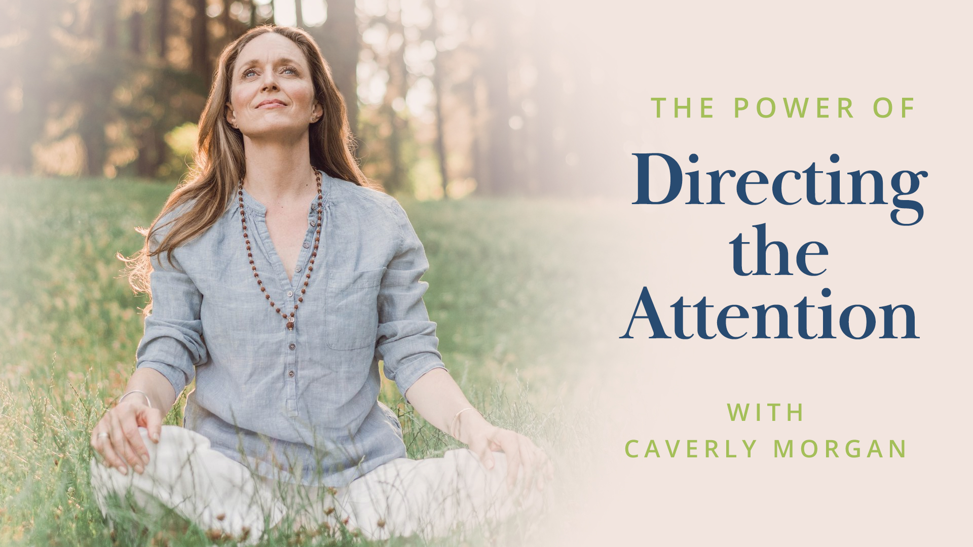Meditation + Talk: The Power of Directing the Attention