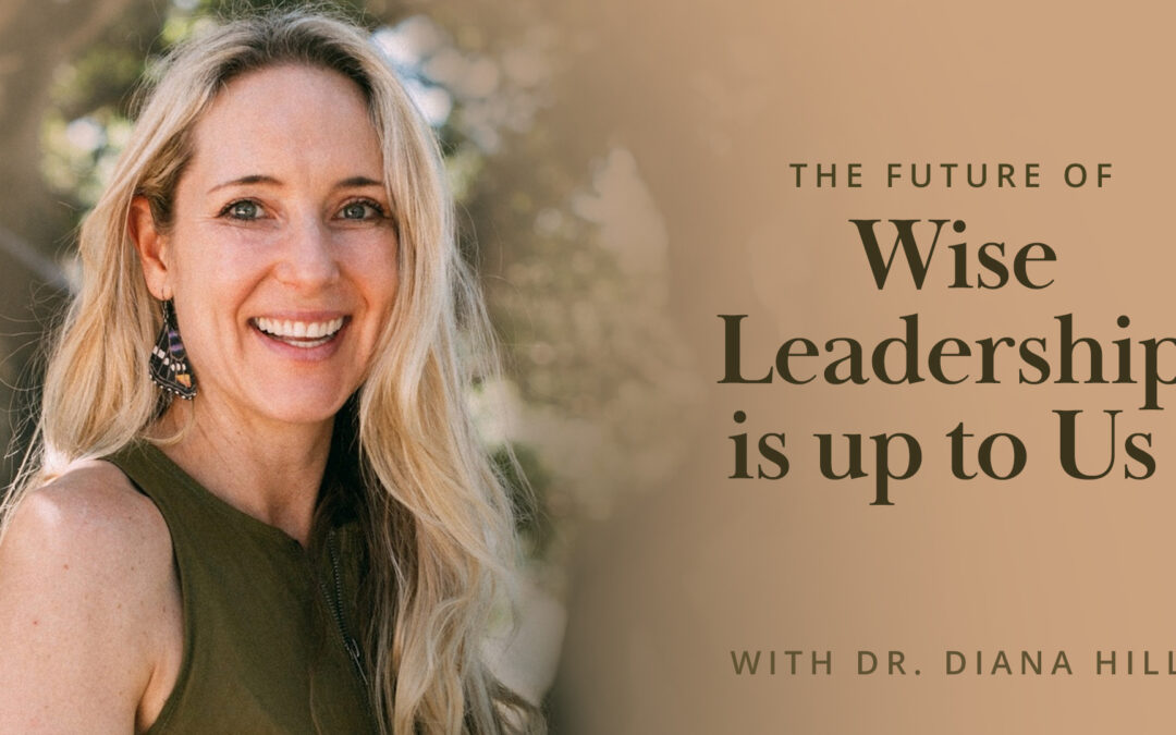 Meditation + Talk: The Future of Wise Leadership Is Up to Us with Dr. Diana Hill