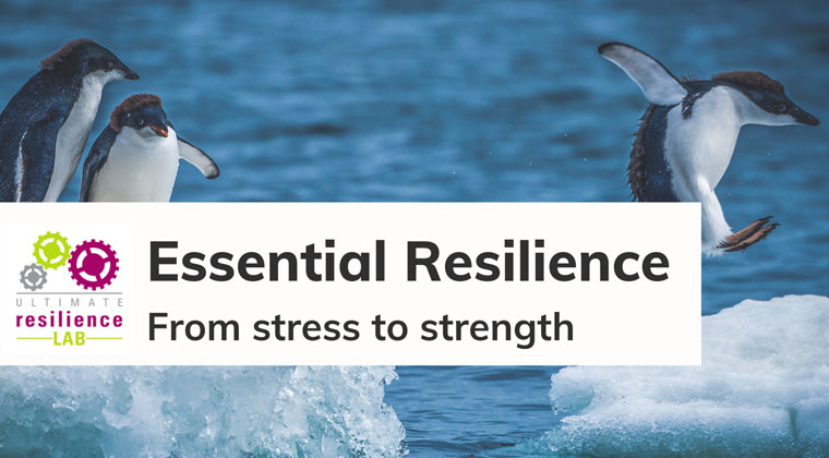 Essential Resilience Courses