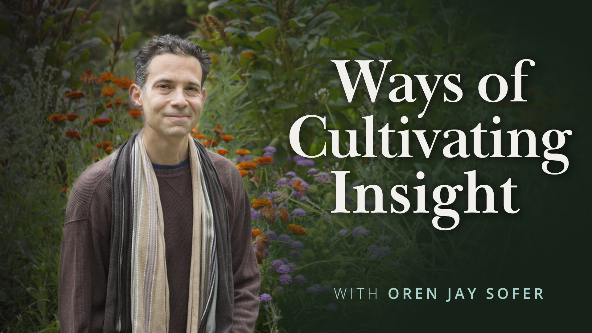 Meditation + Talk: Ways of Cultivating Insight