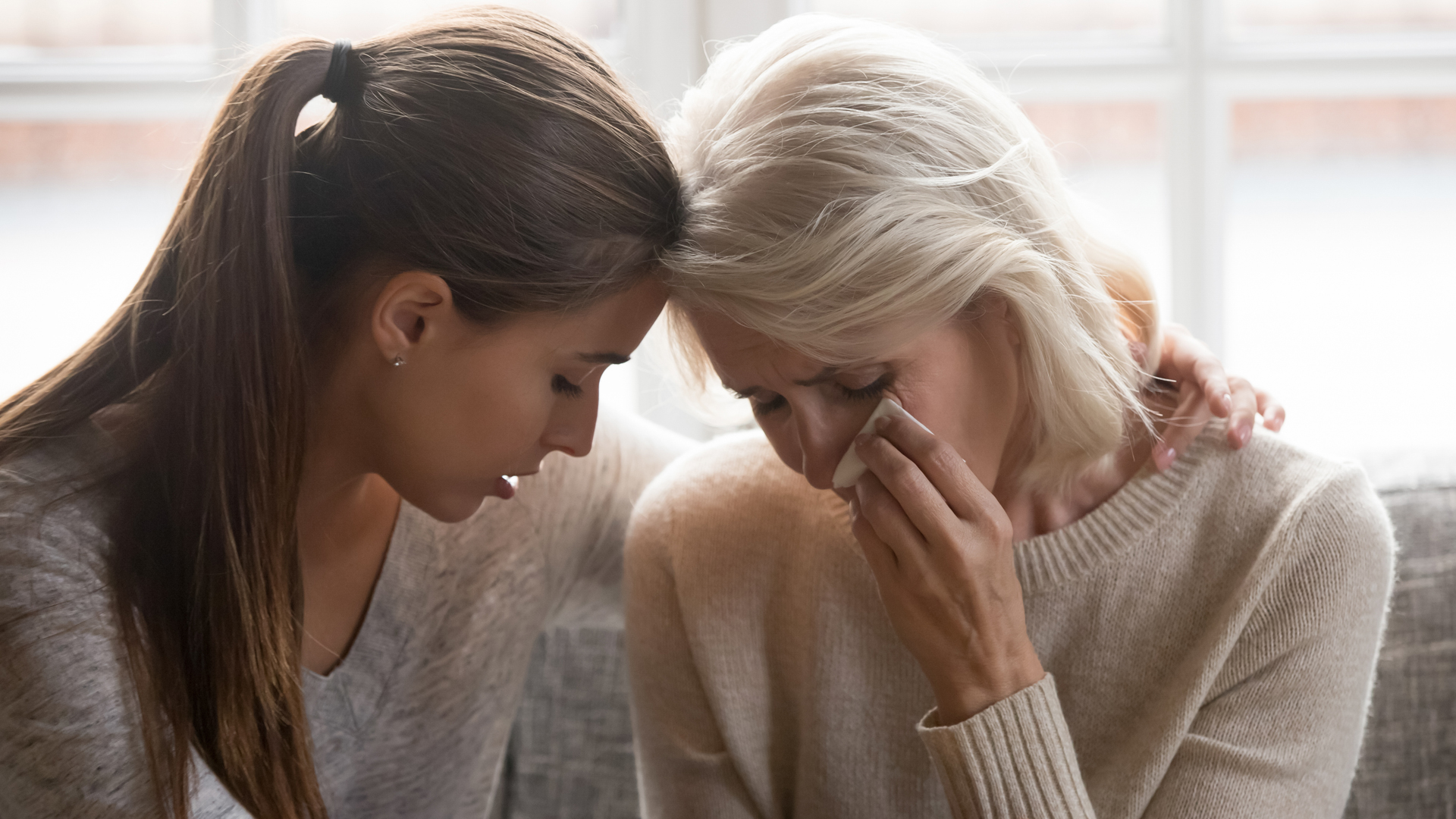 Top 10+ Grief Courses to Help You Navigate Through Loss