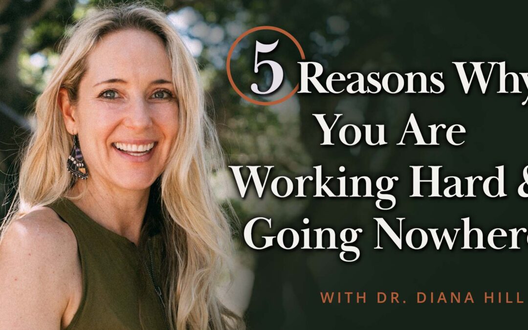 Meditation + Talk: 5 Reasons Why You Are Working Hard and Going Nowhere