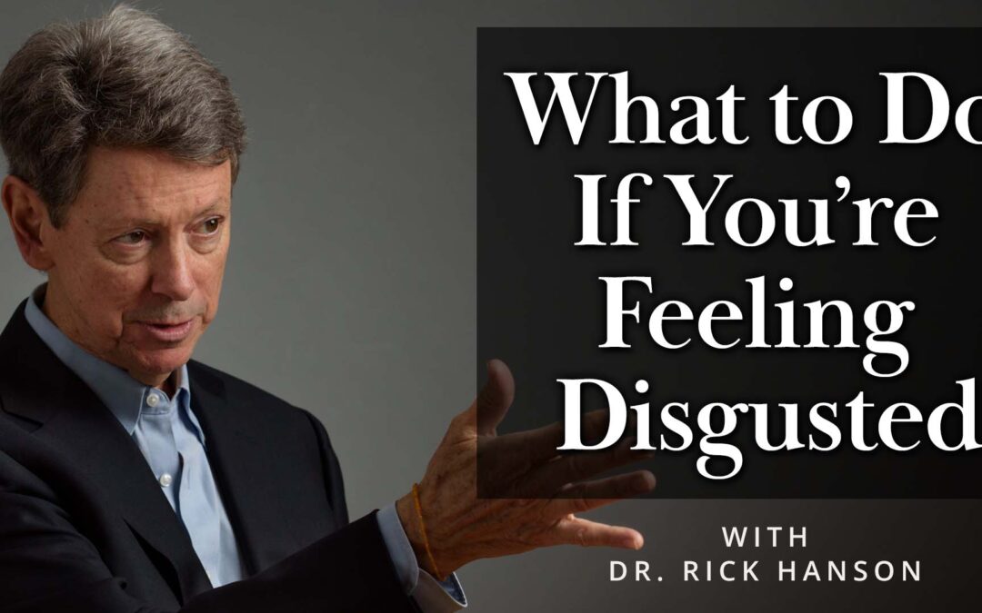 Meditation + Talk: What to Do If You’re Feeling Disgusted