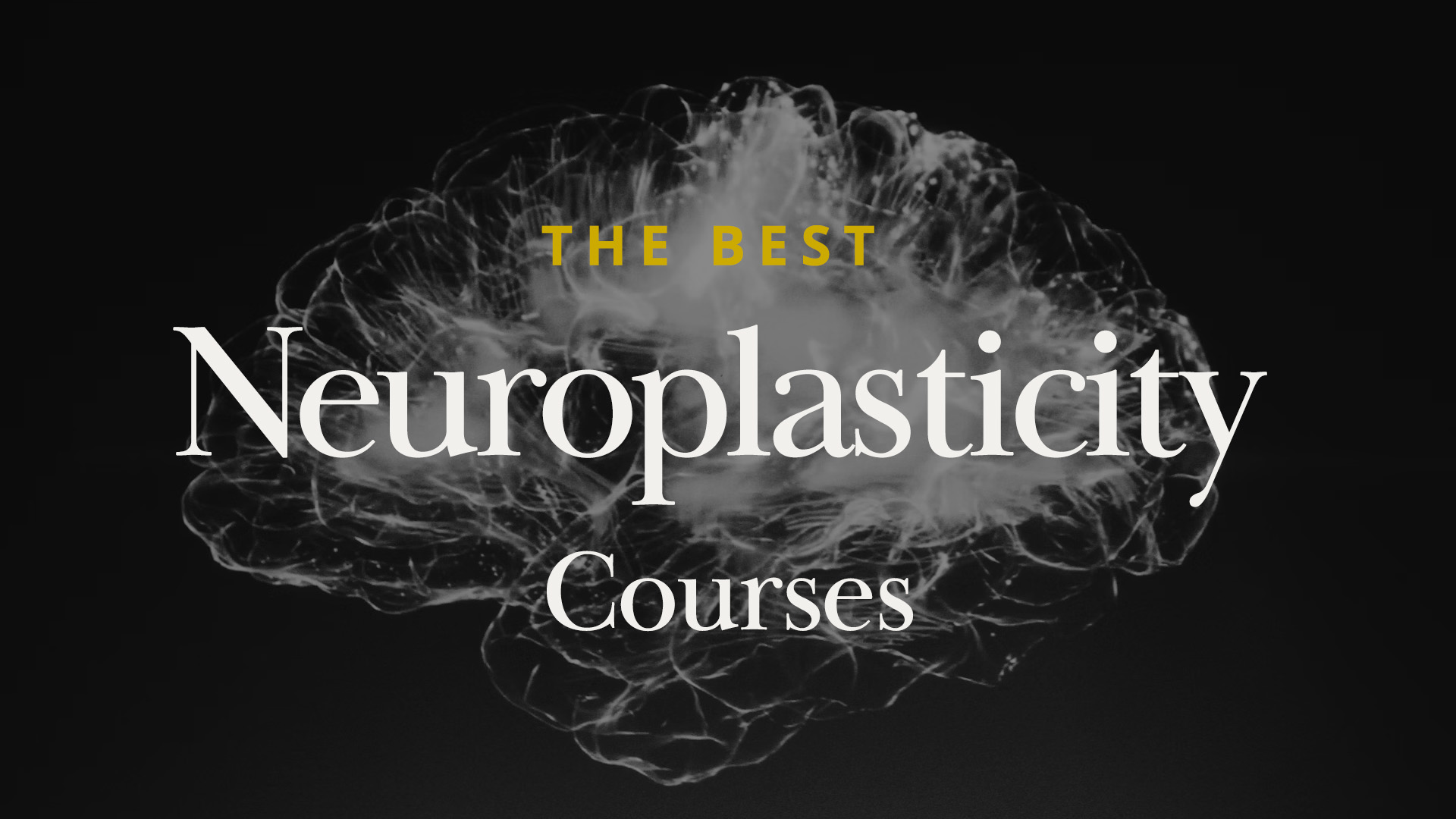 Best 10 Neuroplasticity Courses in 2024 | Expert-Approved Learning