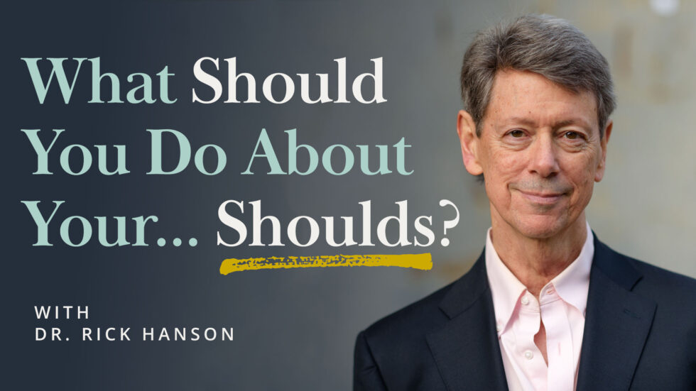 Take in the Good - Rick Hanson, PhD