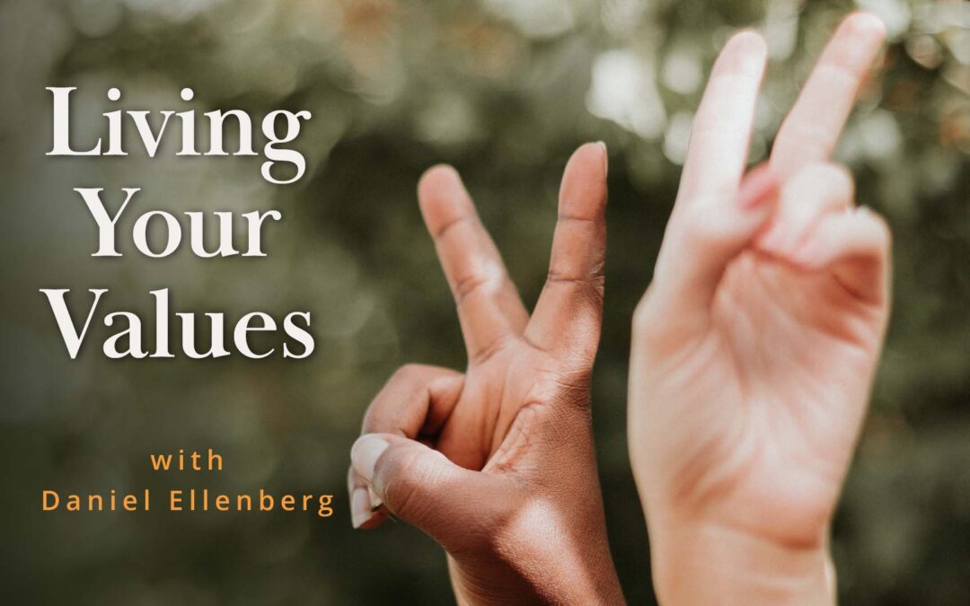 Meditation + Talk: Living Your Values: Finding Peace and Resilience in a Chaotic World