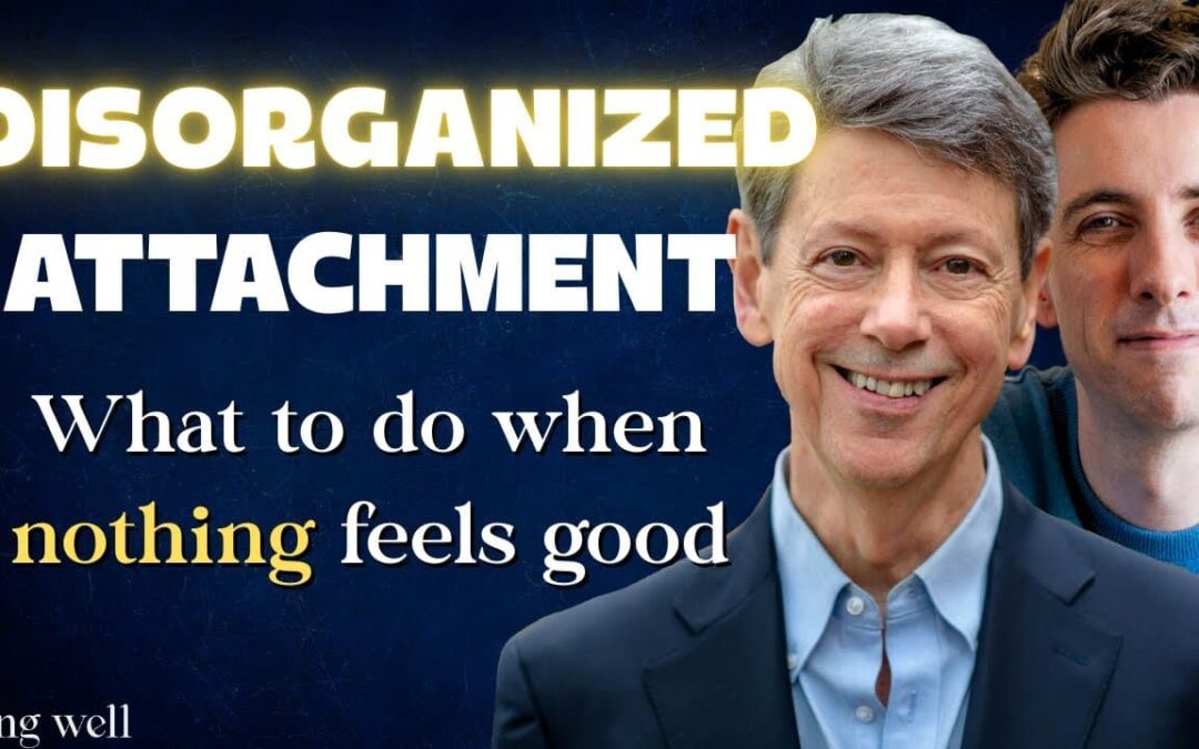 Being Well Podcast: Disorganized Attachment: Heal By Embracing Your Needs
