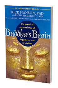 Buddha's Brain