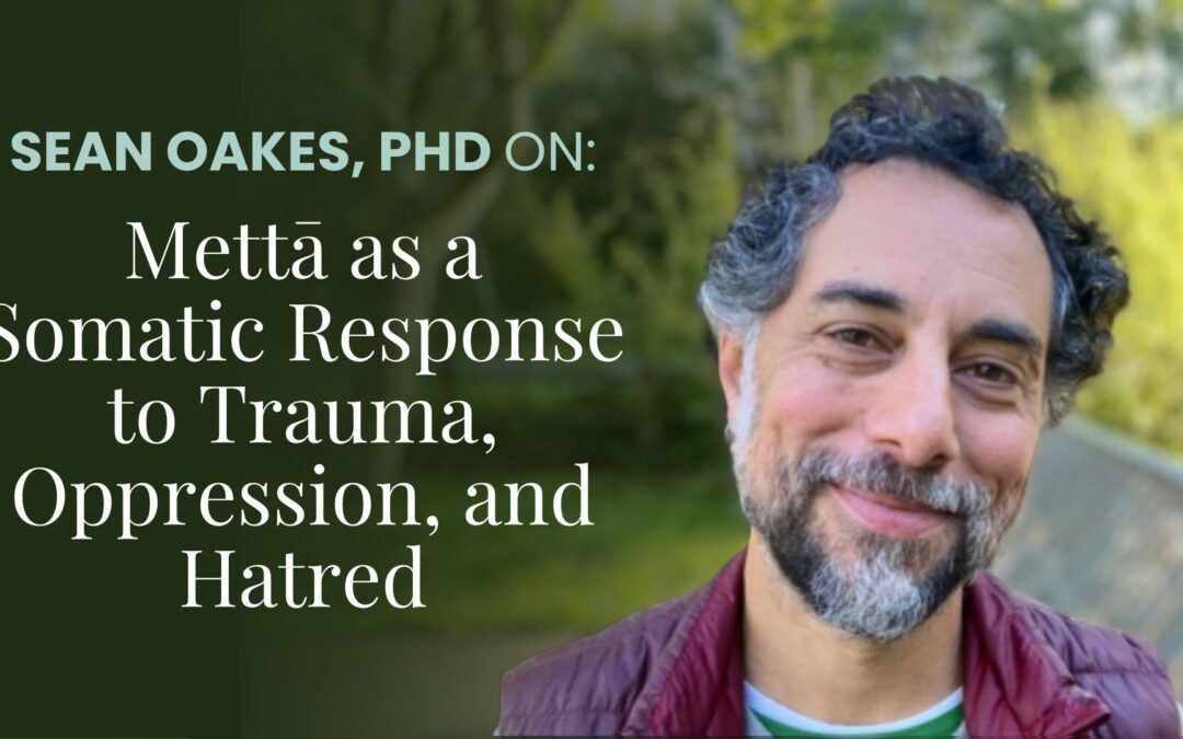 Talk + Meditation: Mettā as a Somatic Response to Trauma, Oppression, and Hatred